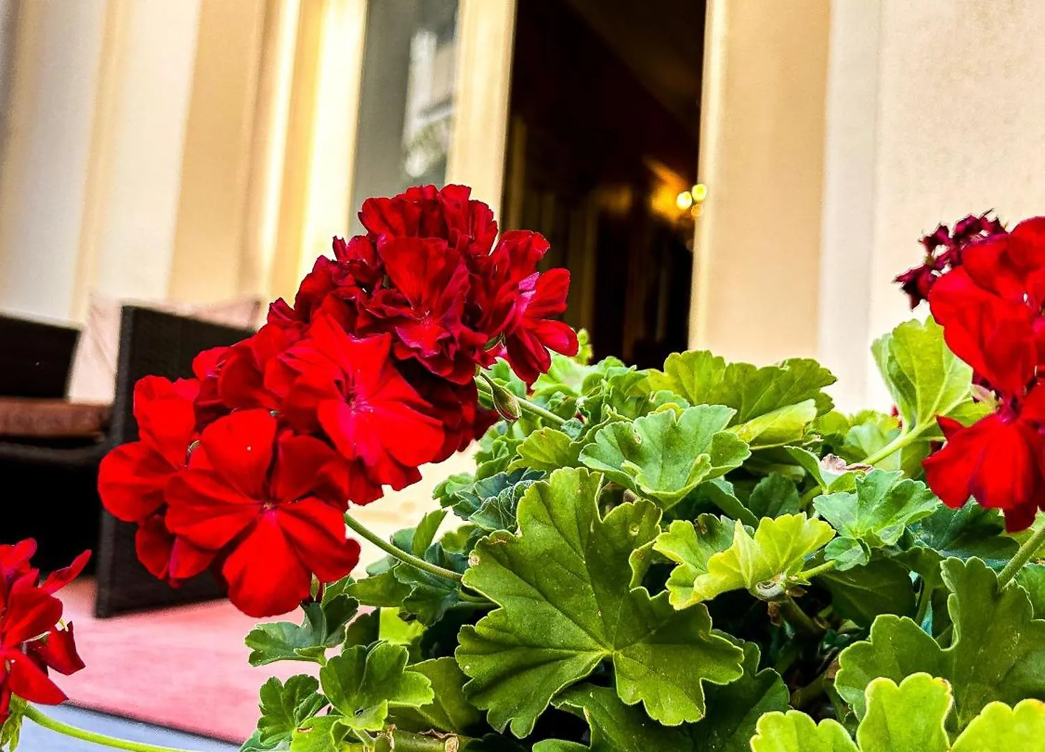 Affittacamere Hotel Boutique Casa Vermont Bucarest Romania