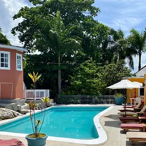 the-blue-orchid-montego-bay.greaterantilleshotels.net/